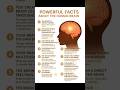 Powerful facts about the human brain #facts #usafacts #brainfacts #factsinenglish #brainguide #short