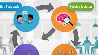 Effective Feedback Loop