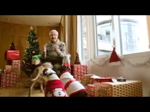 http://itv.com/password-reset Paul O'Grady: For the Love of Dogs at Christmas | ITV