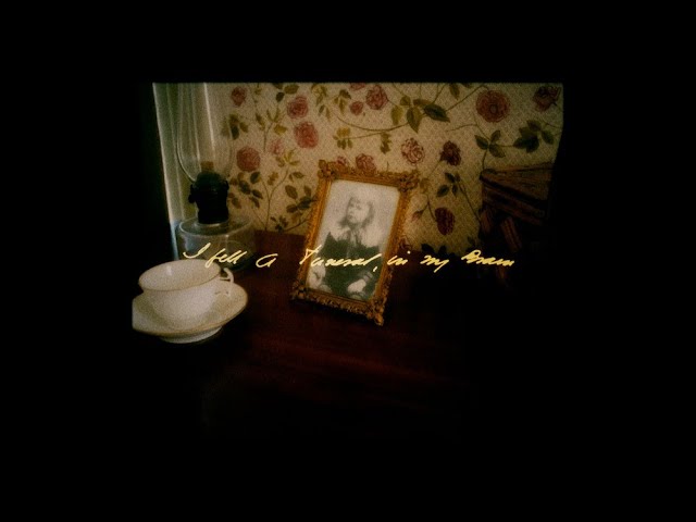 在 YouTube 上观看 Andrew Bird - I felt a Funeral, in my Brain ft. Phoebe Bridgers (Official Video) 在 YouTube 上观看 Andrew Bird - I felt a Funeral, in my Brain ft. Phoebe Bridgers (Official Video)