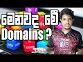.com .net .org.. | What is Domain ? | Explanation in Sinhala