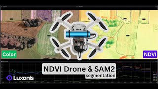 NDVI Drone /w SAM2 segmentation