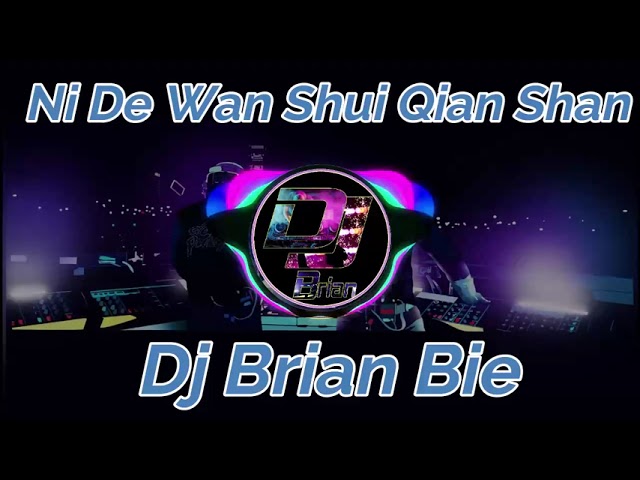 Ni De Wan Shui Qian Shan 你的萬水千山 Remix By Dj Brian Bie class=