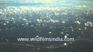 Cloud-Cover Over The Brahmaputra Valley In Assam