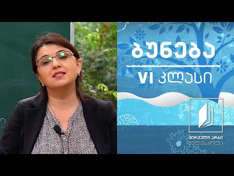 ბუნება, VI კლასი - ჩონჩხი და კუნთები #ტელესკოლა