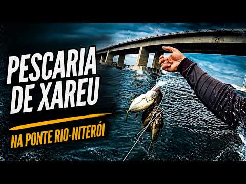 Miniatura do vídeo: Pescaria de Xaréu na Ponte Rio-Niterói.