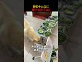野菜そんなに嫌いなの？www