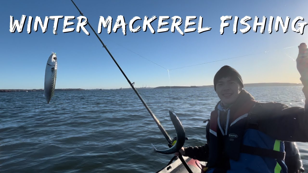 WINTER SIB FISHING MACKEREL IN MILFORD HAVEN YouTube