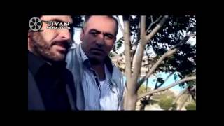 Şivane Amedé - Delalé Delalé