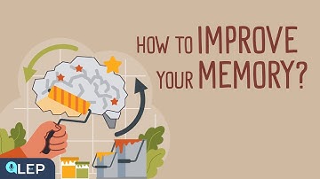How to Improve Your Memory? | 🎧 Podcast and Chill | Beginner