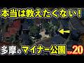 多摩にこんな公園があったのか！知られざる穴場公園TOP20(八王子、府中、町田など)