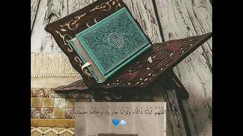 طارق محمد | حالات واتساب قرآن كريم مقاطع قصيرة