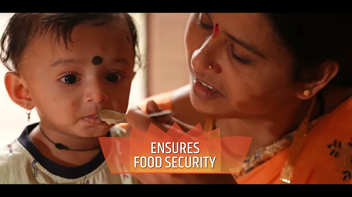 G20 Agriculture : Shaping the Future of Global Food Systems