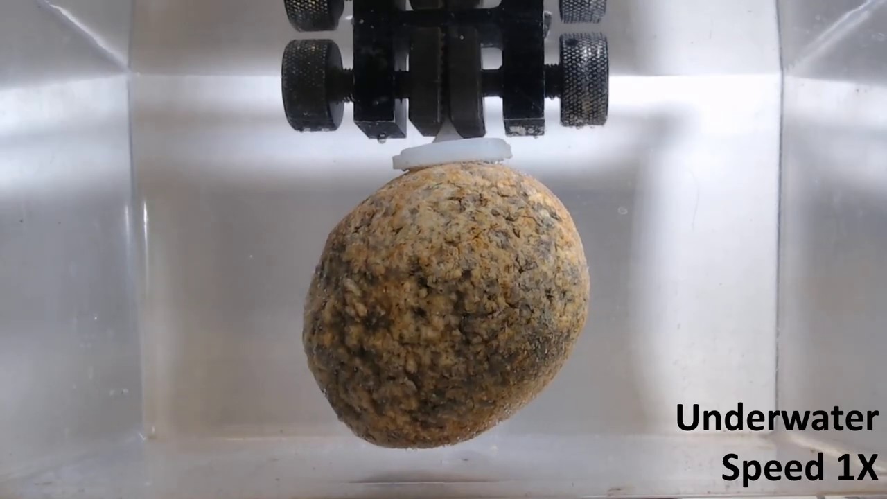 Ucサンディエゴ ウバウオ 姥魚 の生態を研究し 高性能な吸引カップを開発 Fabcross