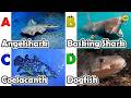 ABC phonics animals | ABC Sea Animals song | Alphabets Kids Song #angelshark