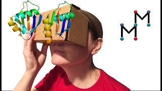 What Does a Protein REALLY look like? (in 3D!)