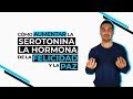 Qué Es Y Cómo Aumentar La Serotonina De Forma Natural 🧠🤯