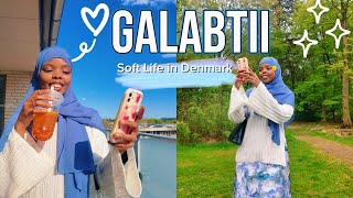Quruxda Galabaha Yurub | Soft Evening Vlog  screenshot 2