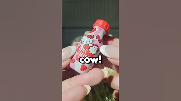 Hello Kitty but she