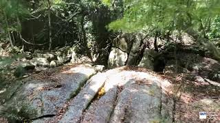 Pine Creek - The Rock: 3D Gaussian Splatting based on 2 GoProMax 360 cameras