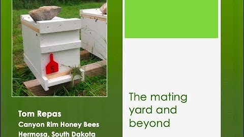 5  The mating yard and beyond