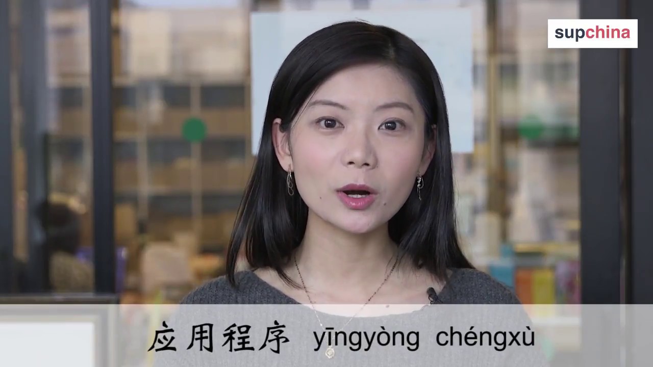 SupChina word of the day: app