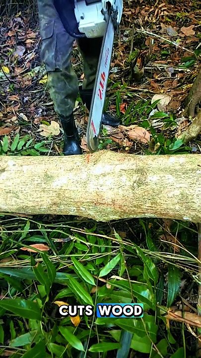 one touch of this log cuts it #feedshorts #sthill #sawblade #shorts