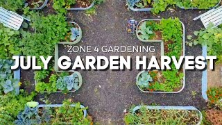 Harvesting for the Farmstand | July Garden