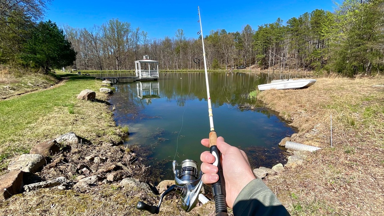 Fishing a Small Pond for ANYTHING That Bites