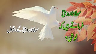 Molana Romi Urdu Quotesurdu Quotes Molana Romirt Voice