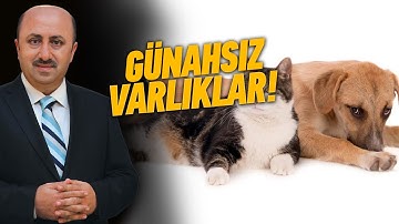 Hayvanlar İnsanlara Dua Eder mi? | Ömer Döngeloğlu