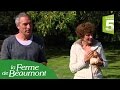 Les poules de la ferme de Beaumont dans "Silence çà pousse !"