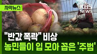 subtitled News Halfprice Plunge Emergency Farmers Unanimously Name main Culprit  Kbs 2