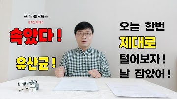 유산균제품추천. 먹을거면 제대로 (내일약국. 약사플러스)