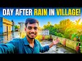 Day After Rain in Village | Nature Healing Vlog 🌧️🍃