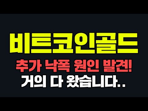 비트코인골드추가 낙폭 원인 발견 거의 다 왔습니다 비트코인골드전망 비트코인골드상폐 