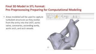 Use of CFD after the Rastelli Procedure
