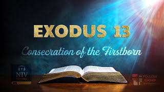 The Book of Exodus | Chapter 13: Consecration of the Firstborn | NIV Audio Bible