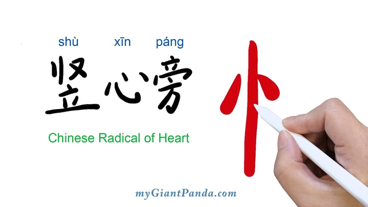 竖心旁 Chinese Radical Of Heart 学写中文偏旁部首笔画 Learn To Write Chinese Characters 学写字 Youtube