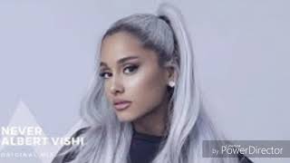 Alan Walker ft. Ariana Grande Style, Albert Vishi - Never (Audio)