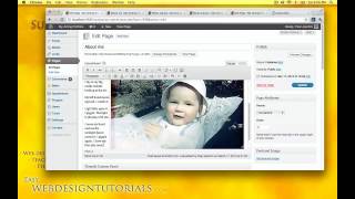 Collapse O Matic WordPress Plugin tutorial (HD)