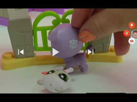 Код лапок. Сканер LPS лапки. Лпс коды лапки. Лпс сканер Littlest Pet shop your World.