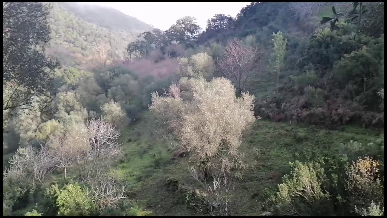 مغامرات في اذغال قرية دار عيسى بلدية الشرايع القل سكيكدة مناظر طبيعية تريح النفس