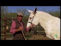 Tierra y mar | Visita a los caballos marismeños de Hinojos