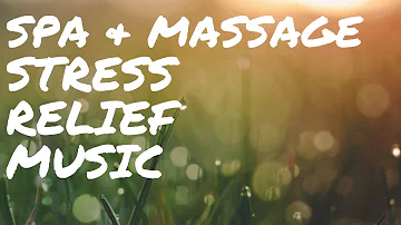90 minutes of Amazing Massage & Spa Harp Music with Bird Sounds for Relaxation & Stress Relief. ★10
