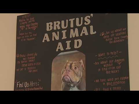 Mobile pet pantry helps York County animals