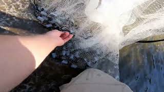 Throwing A Cast Net For Bait Fish