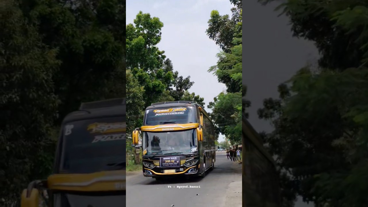 Trend 24 Not | " Speed Jack " B Coach 