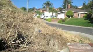 Longboarding: Matt's BBQ