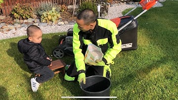 C92 ÔNG CHÁU “SU” VÀ CÁCH CHĂM SÓC VƯỜN CỎ🤗 Vườn Hùng Anh cz